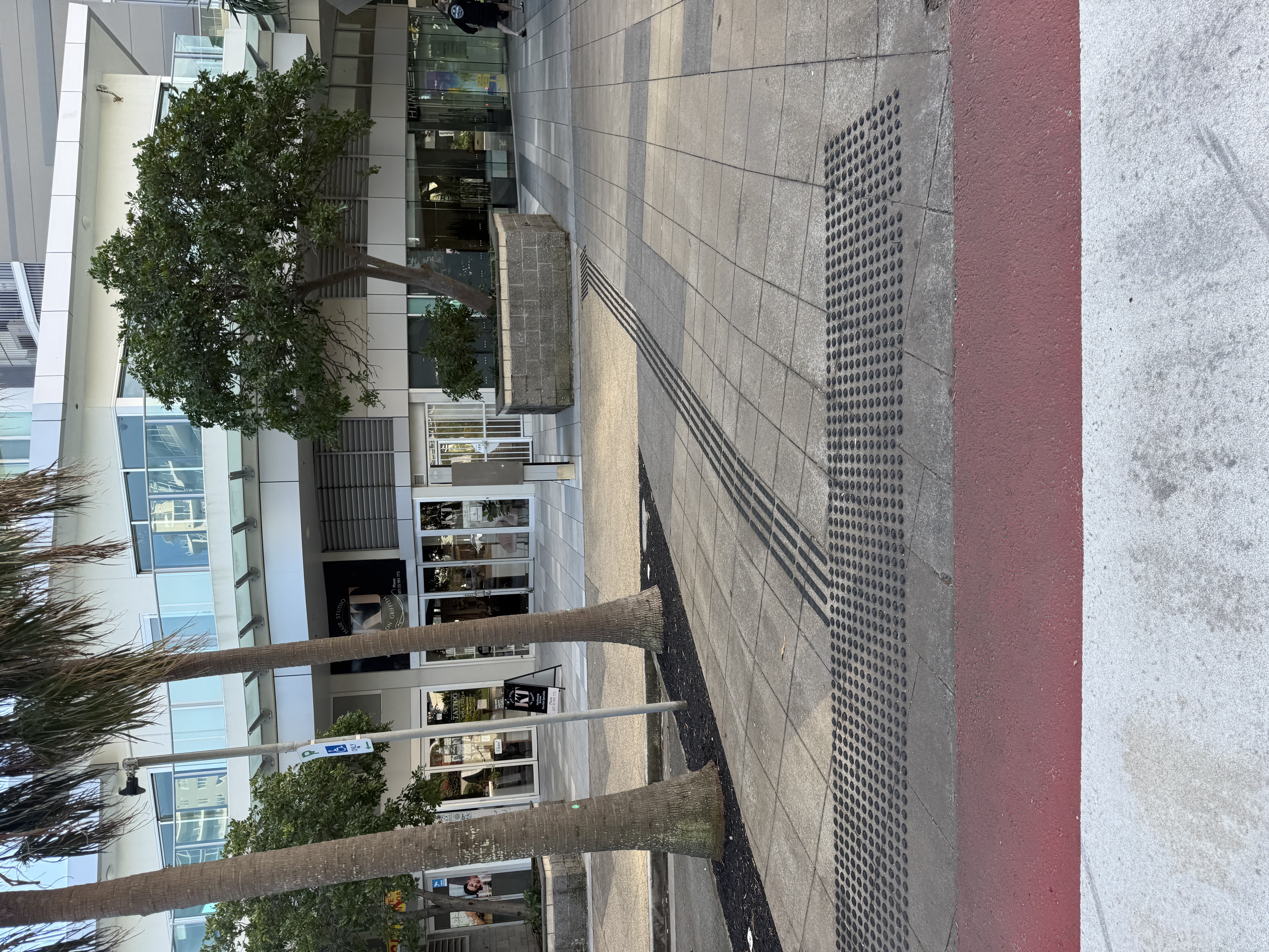 Tweed Shire tactiles help pave the way for accessibility